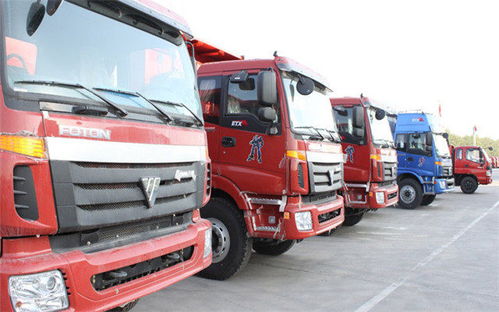 樂清柳市至奎屯市專業物流托運專線服務詳解